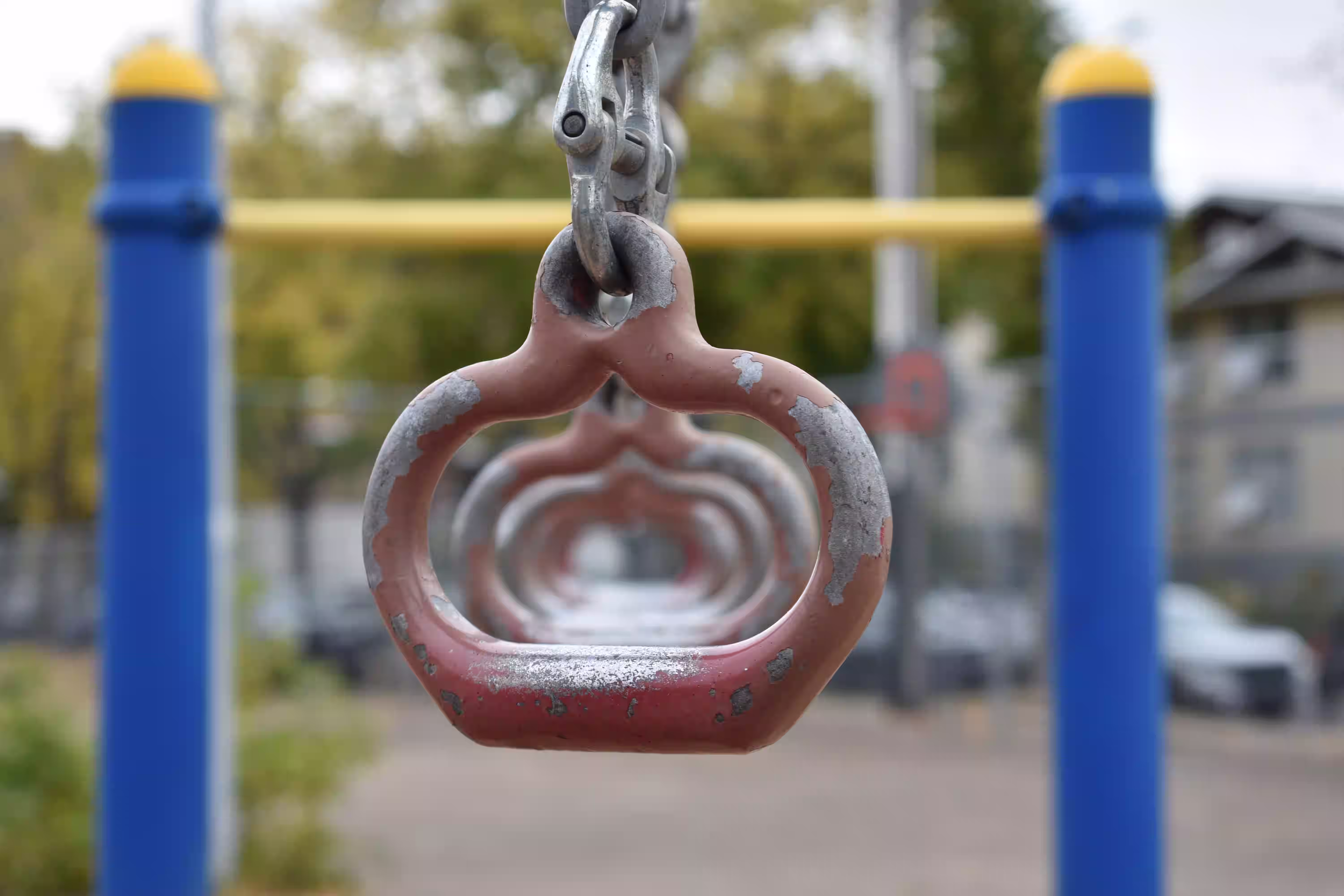 Shallow depth of field photograph with subject sharp and background blurred