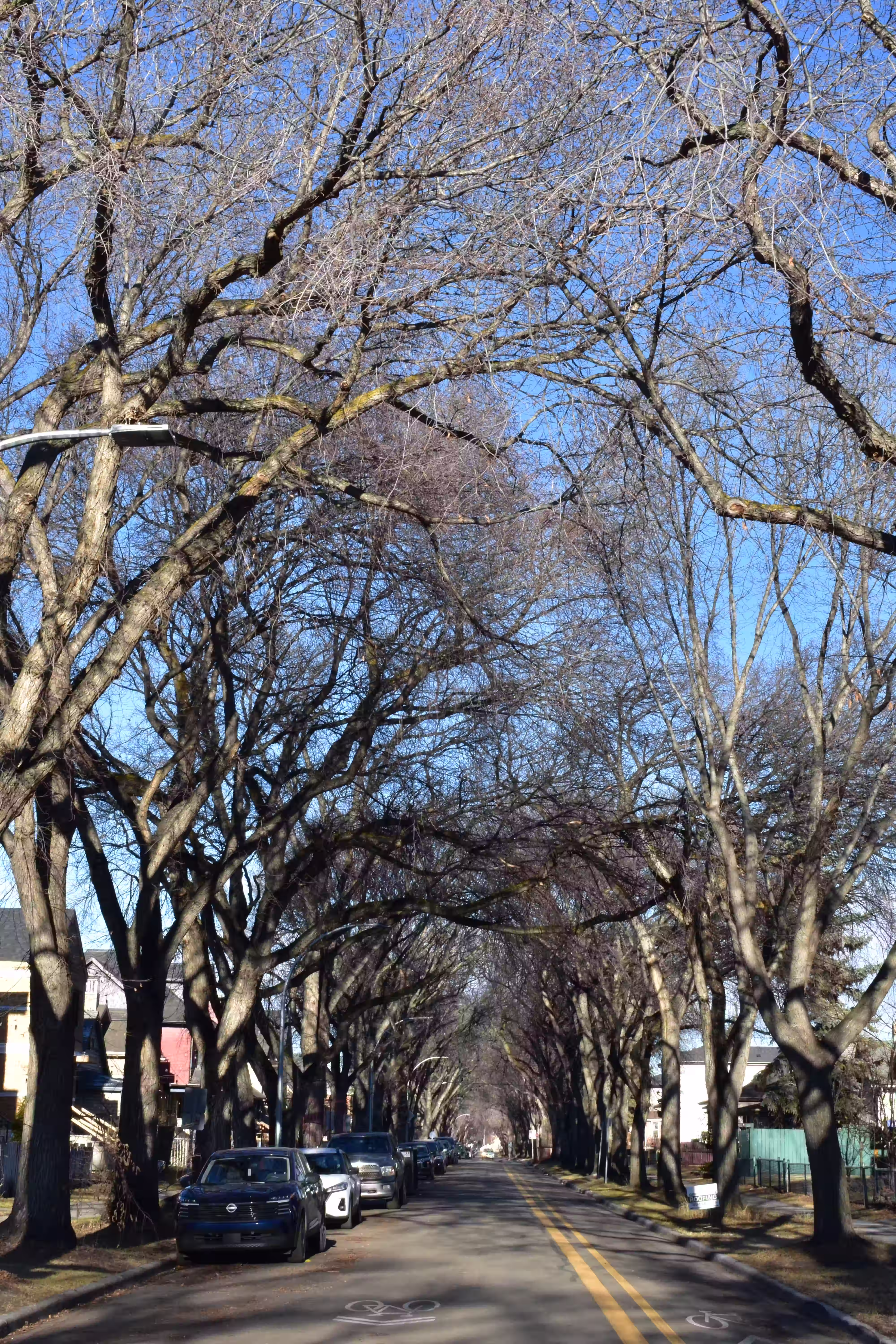 Portrait orientation photograph emphasizing vertical space and subject height