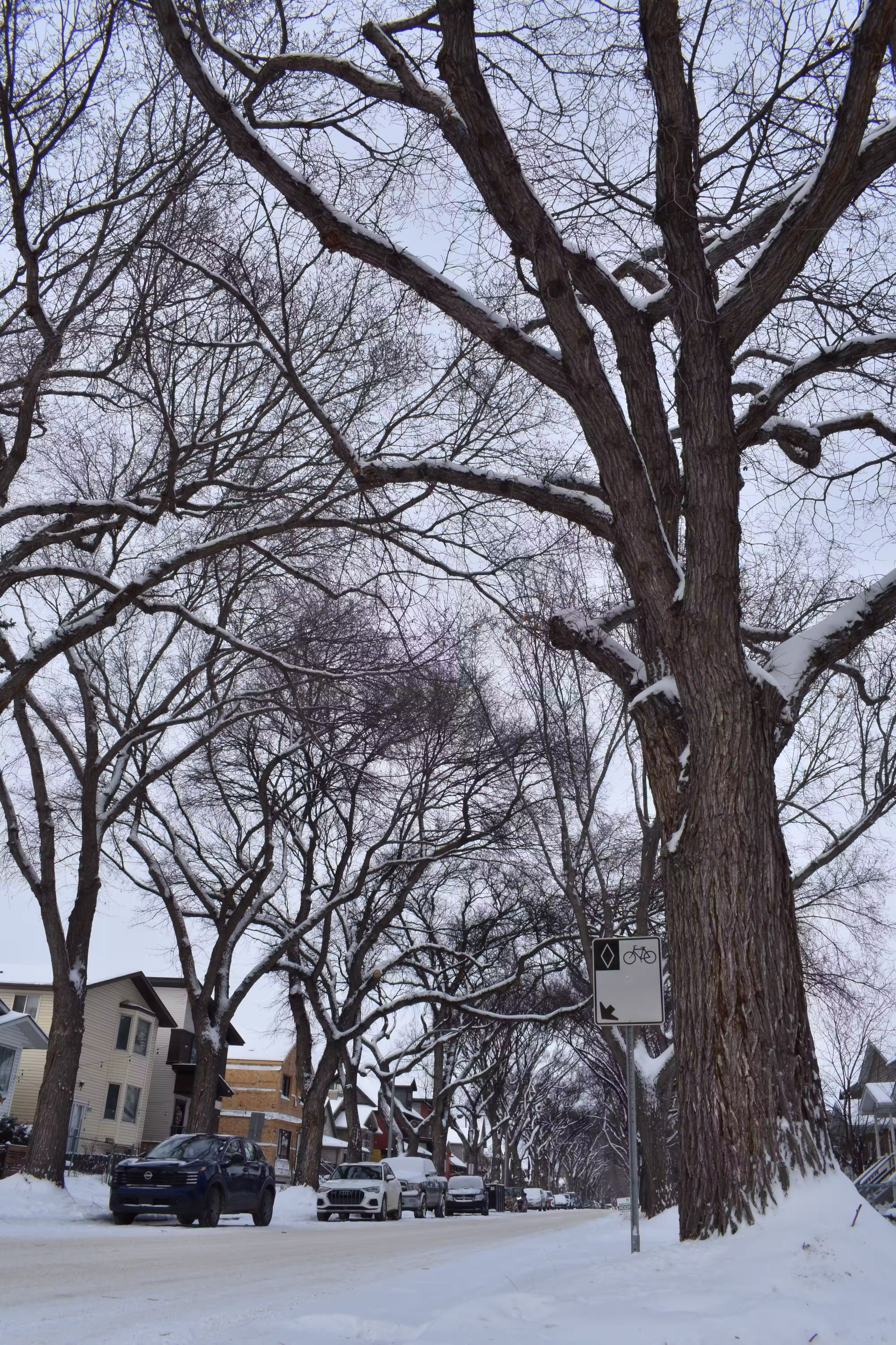 Portrait applying rule of thirds with subject in the left third and negative space right