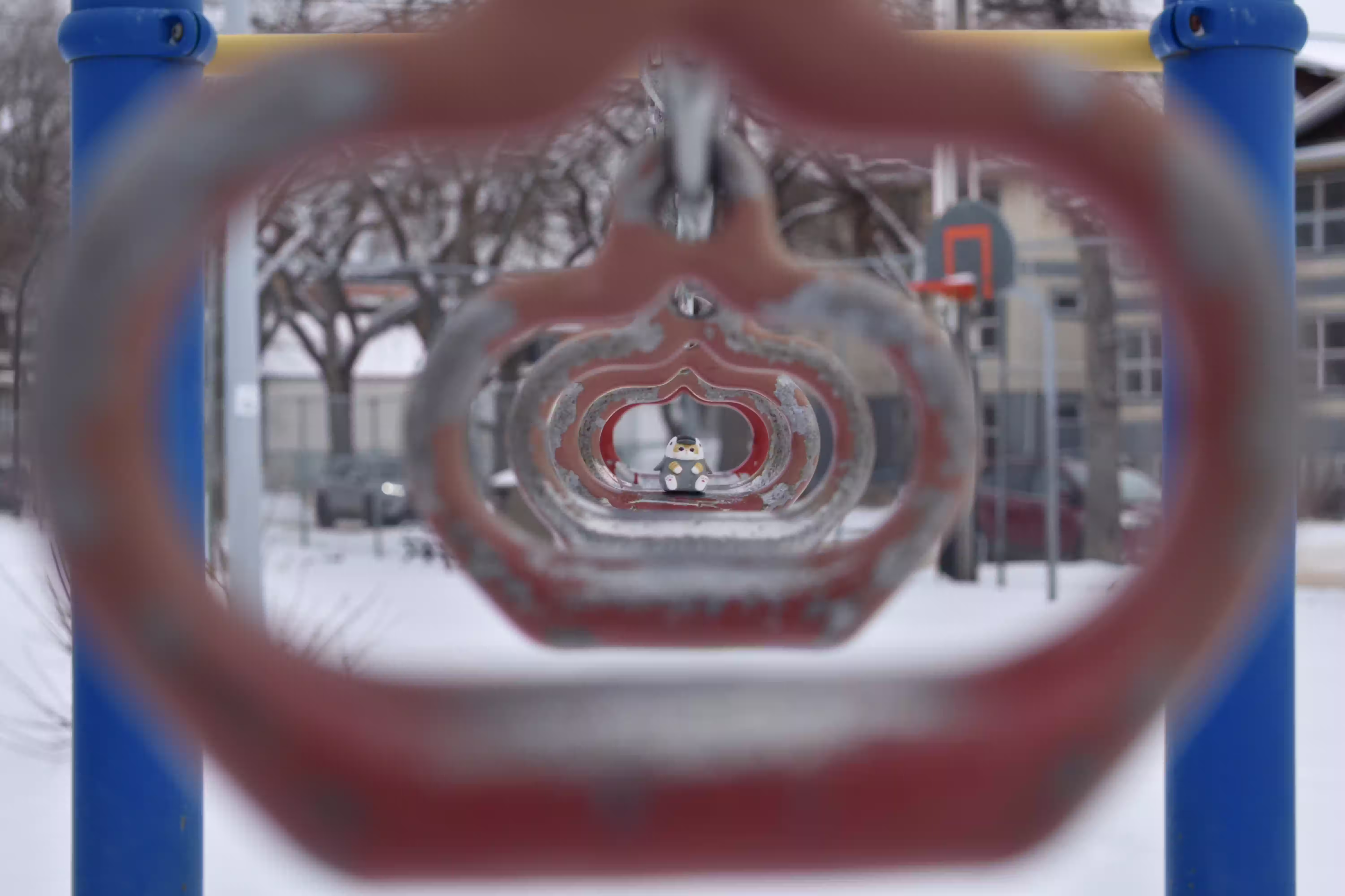 Shallow depth of field photograph with subject sharp and foreground framing element